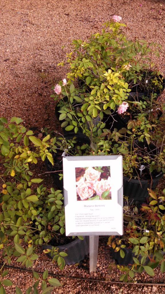  photo IMG_20140924_101242_639.jpg